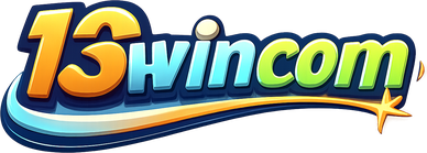 13wincom logo